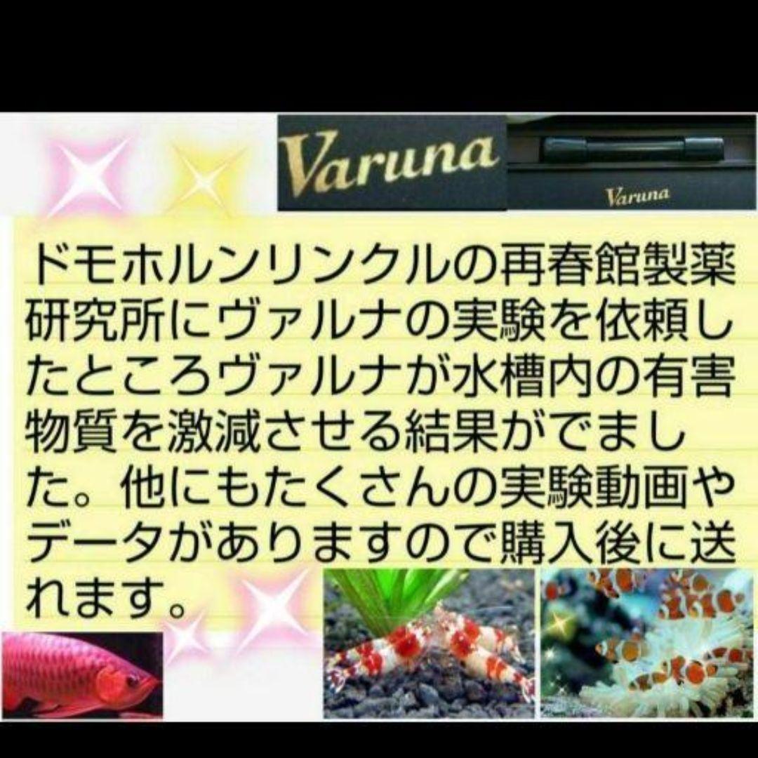 アロワナ飼育者絶賛！水槽の透明度抜群に！ヴァルナミニ　有害物質、病原菌も強力抑制