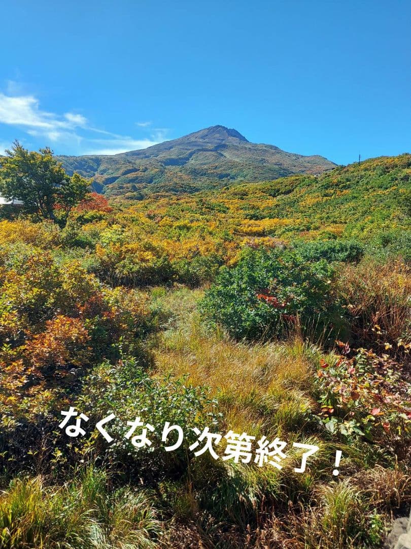 生なめこ　3kg！