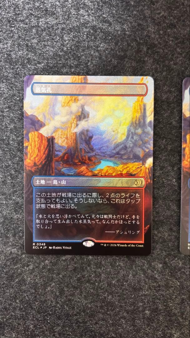 蒸気孔　日本語foil 2枚