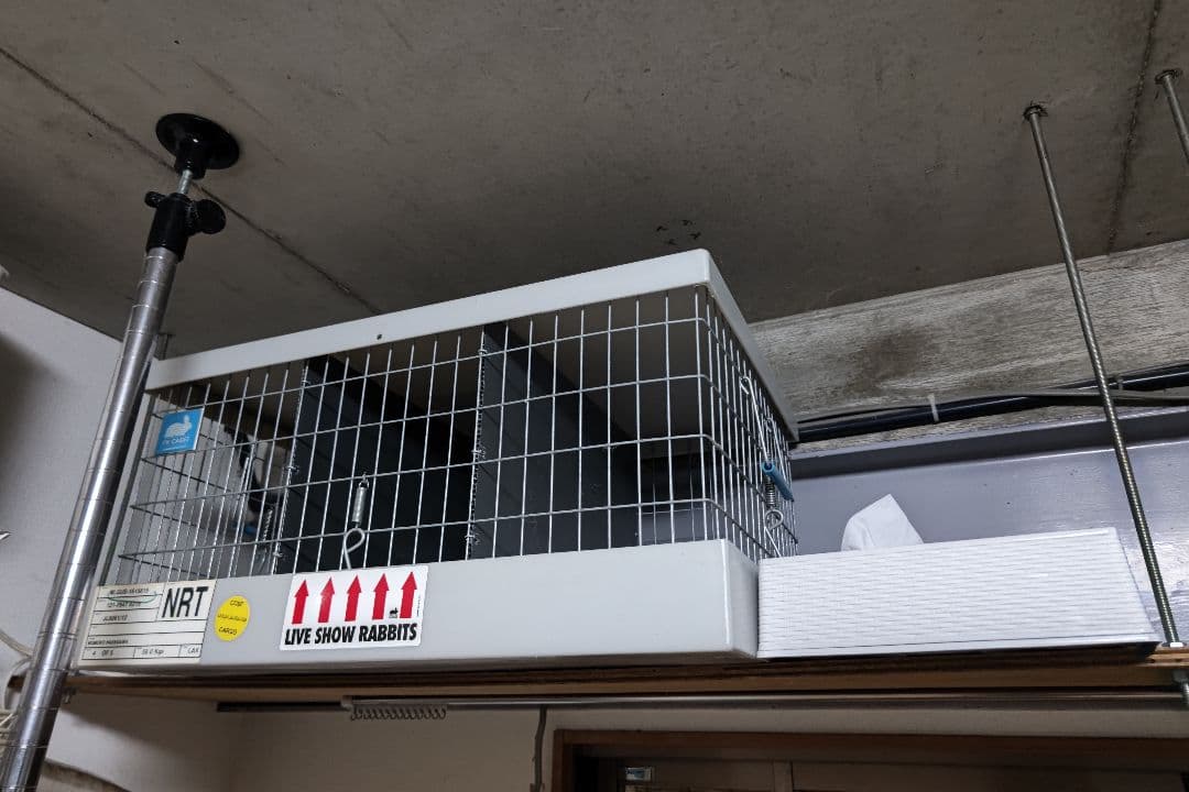 KWケージ　レア　うさぎ　輸入ケージ　中古品　3羽キャリー