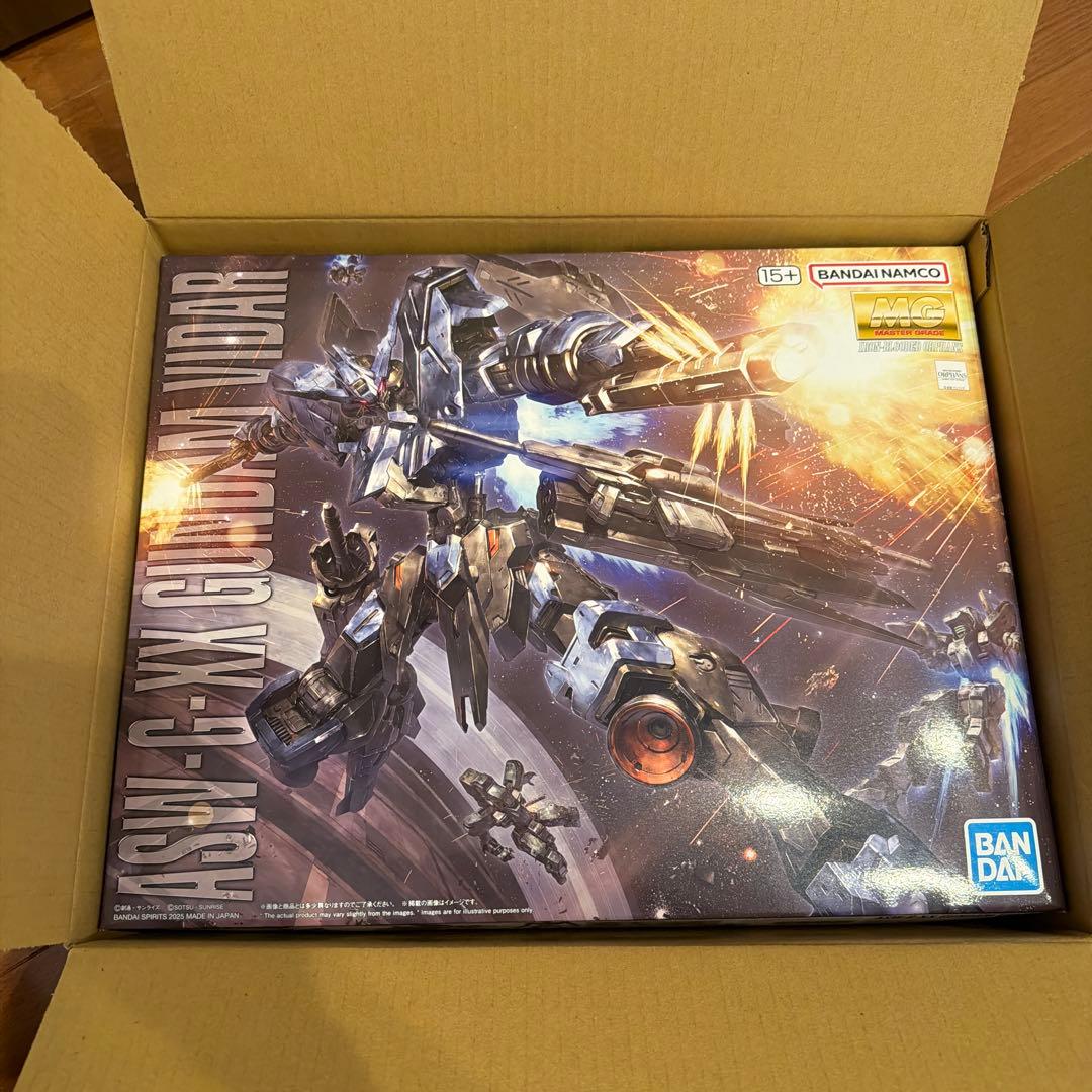 ガンプラ MG ヴィダール