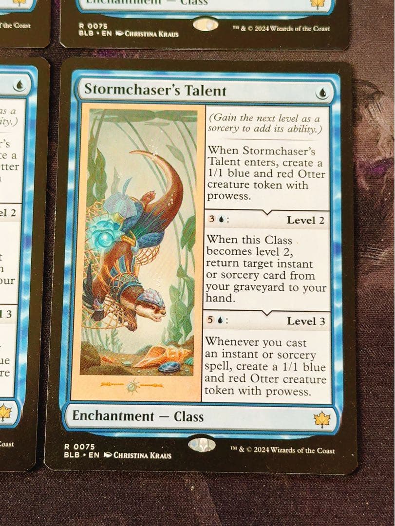 嵐追いの才能　英語　4枚セット