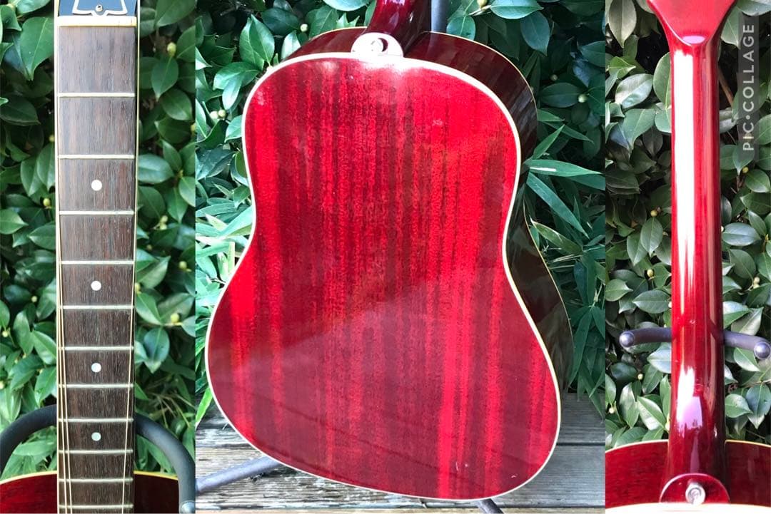 Bunny BJ-60 バーニー フェルナンデス