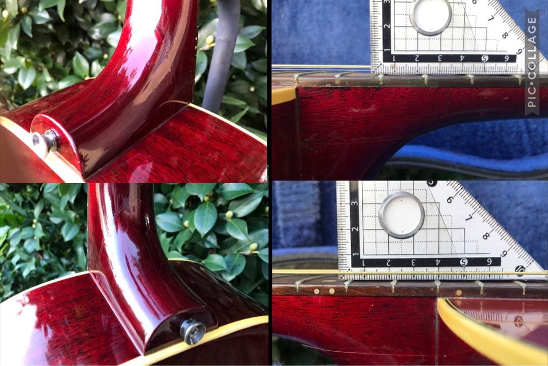 Bunny BJ-60 バーニー フェルナンデス