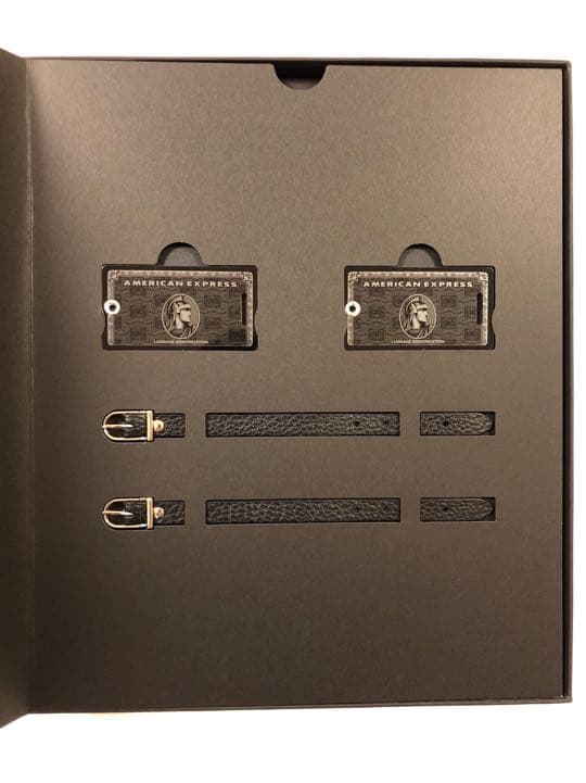 非売品アメリカンエキスプレス センチュリオン ネームタグ ラゲージタグ入会冊子付