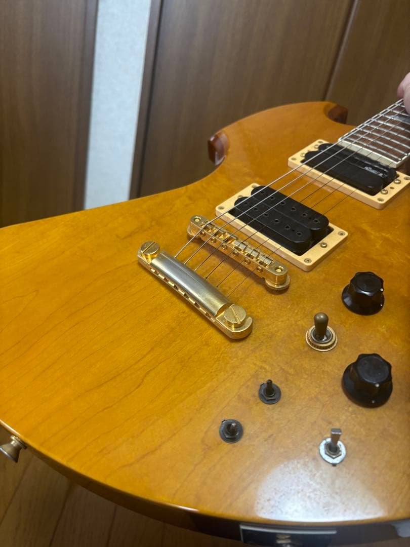 【超貴重】BURNY MG-165S LD フェルナンデス HIDEモデル