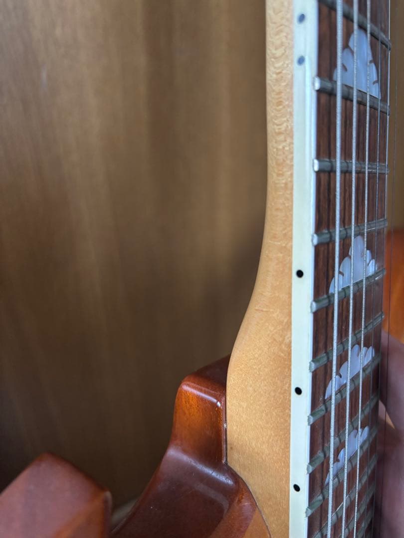 【超貴重】BURNY MG-165S LD フェルナンデス HIDEモデル