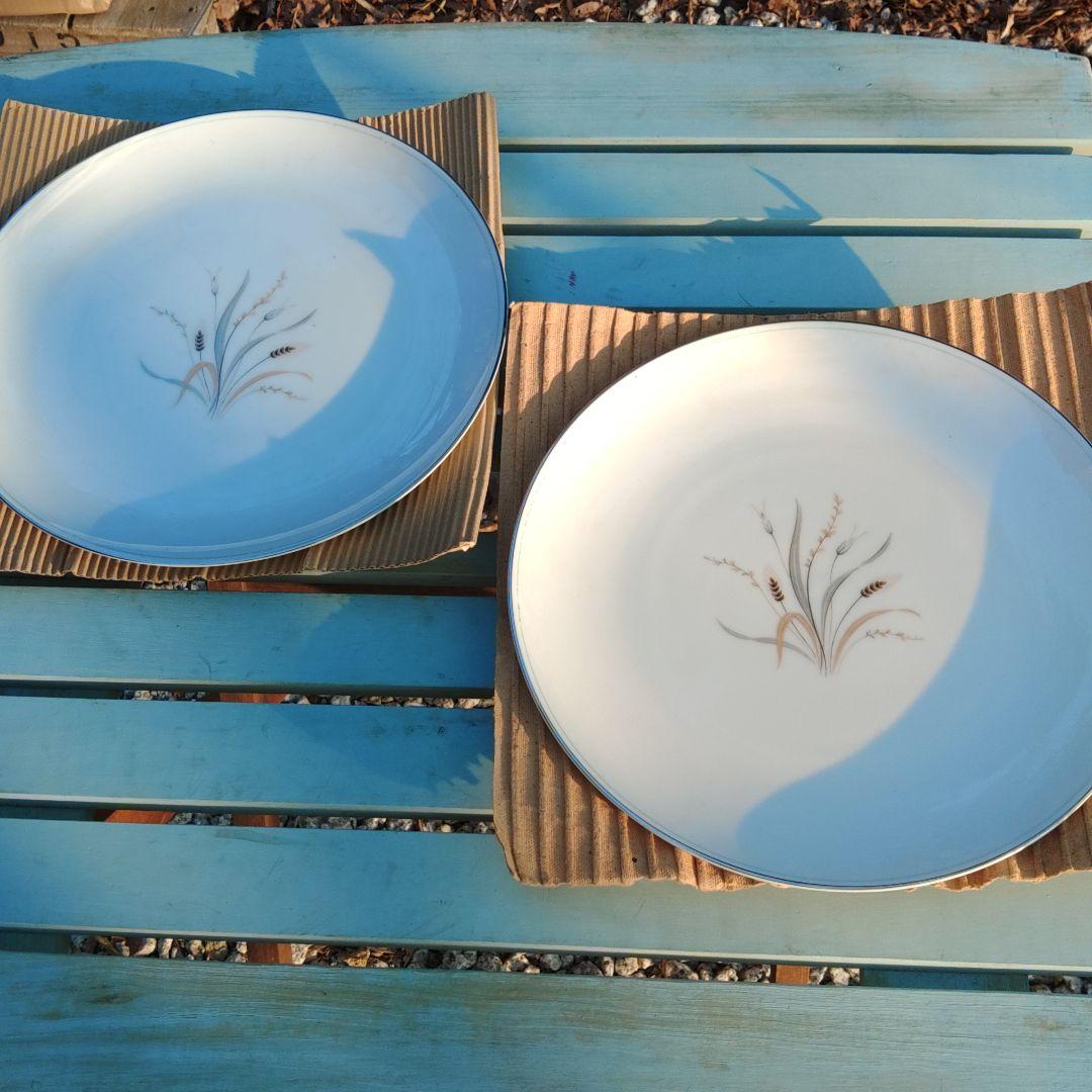 三郷チャイナ陶磁器皿(10枚)　食器