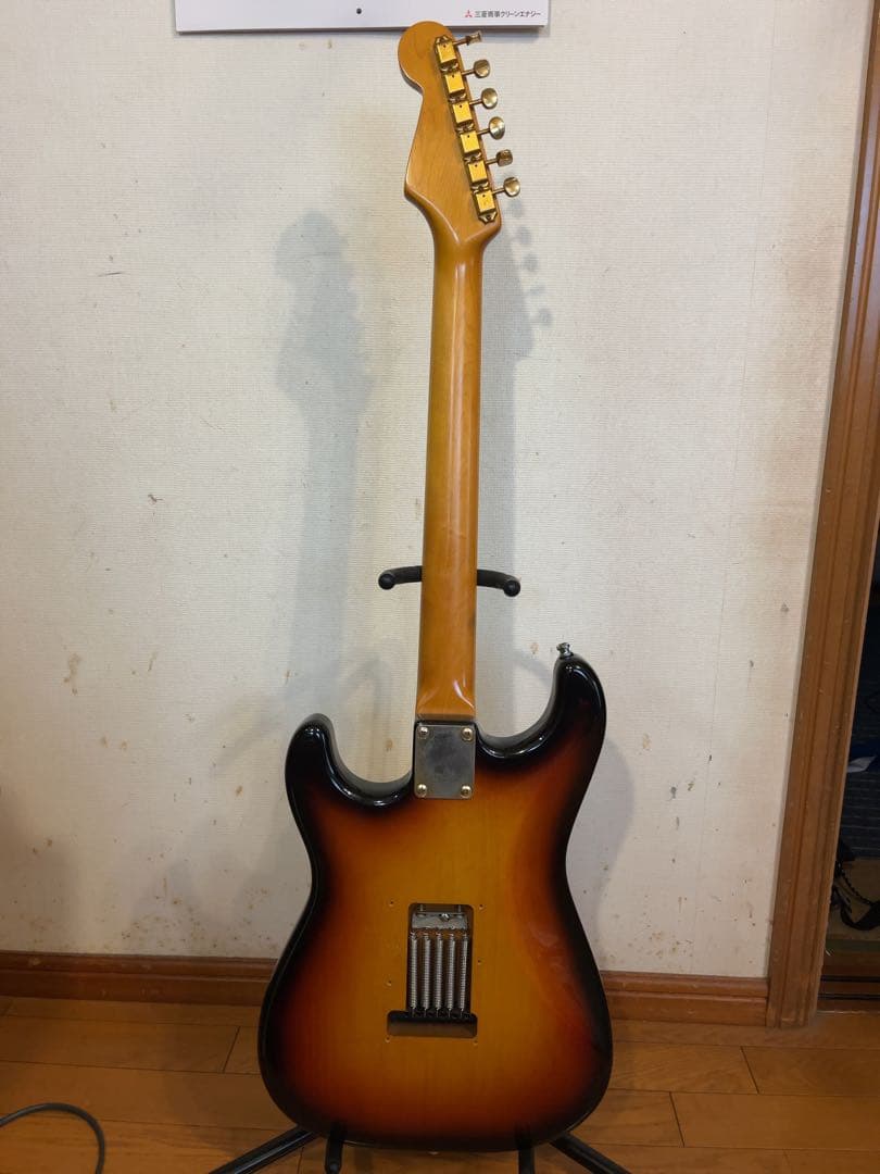 P-Project PST-1V ★VANZANDTピックアップ