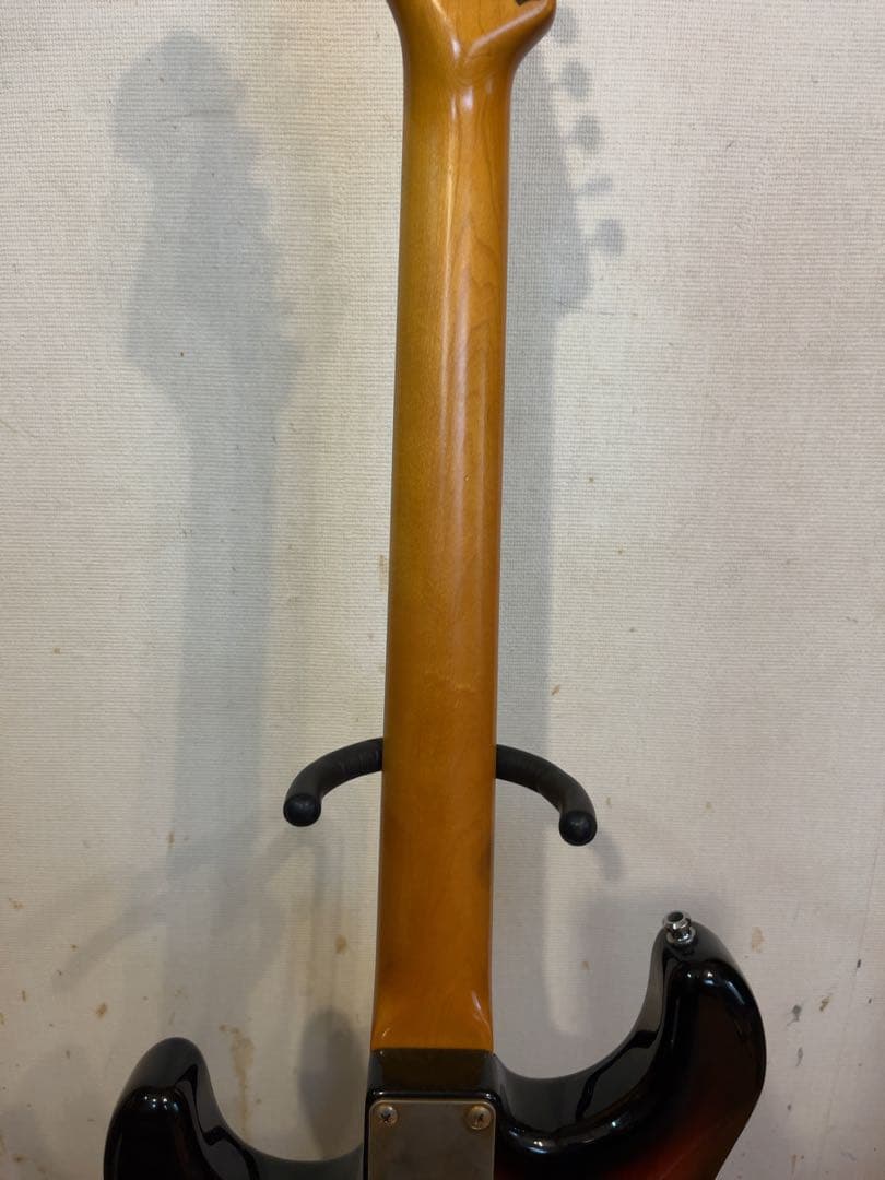 P-Project PST-1V ★VANZANDTピックアップ