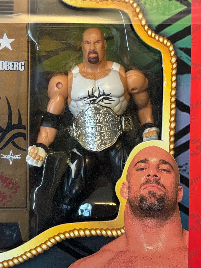 WCW/フィギュア/nwo/ホーガン/ゴールドバーグ/スティング/プロレス/限定