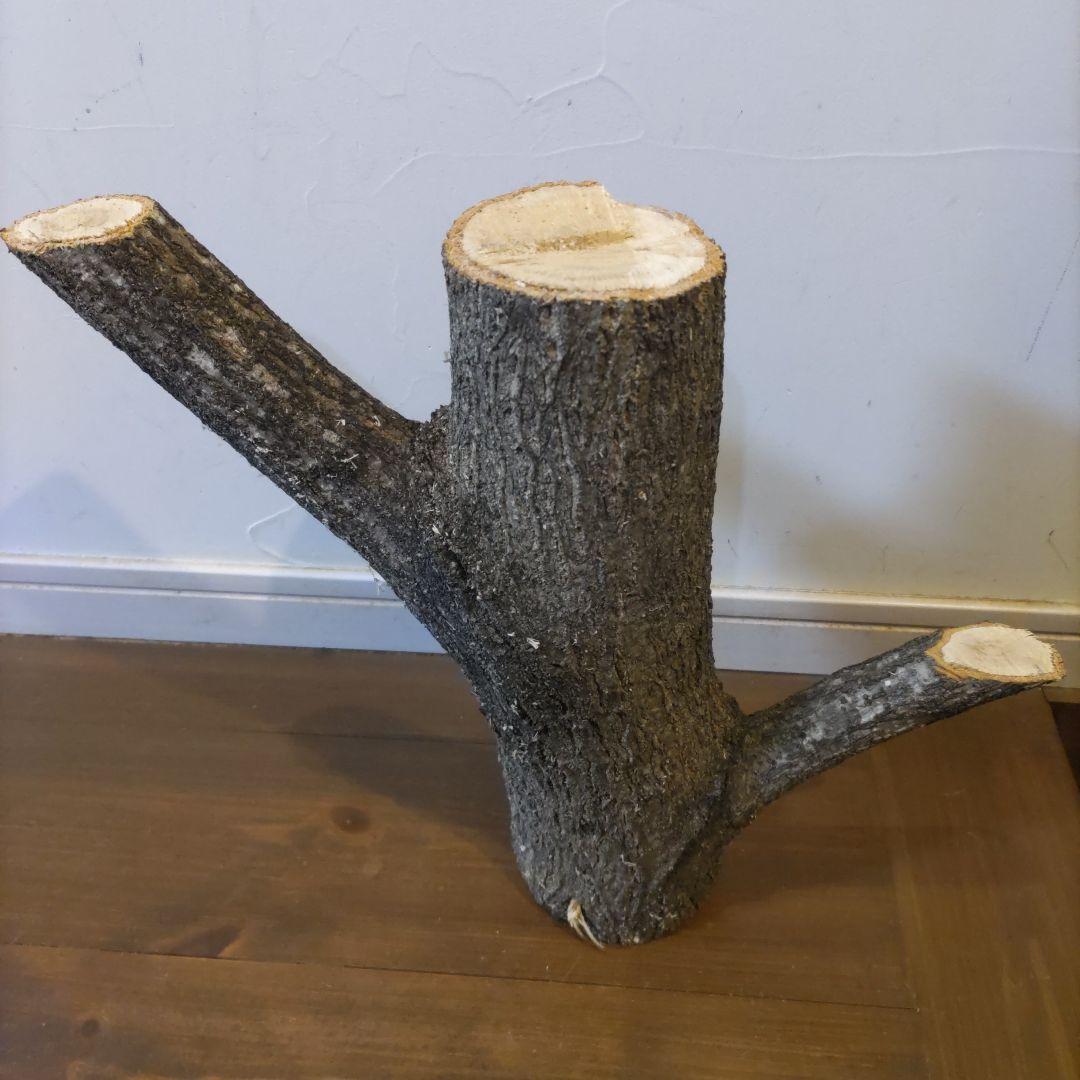 直径10cm　くぬぎ とまり木 自立　昆虫　トカゲ　爬虫類　無農薬無消毒