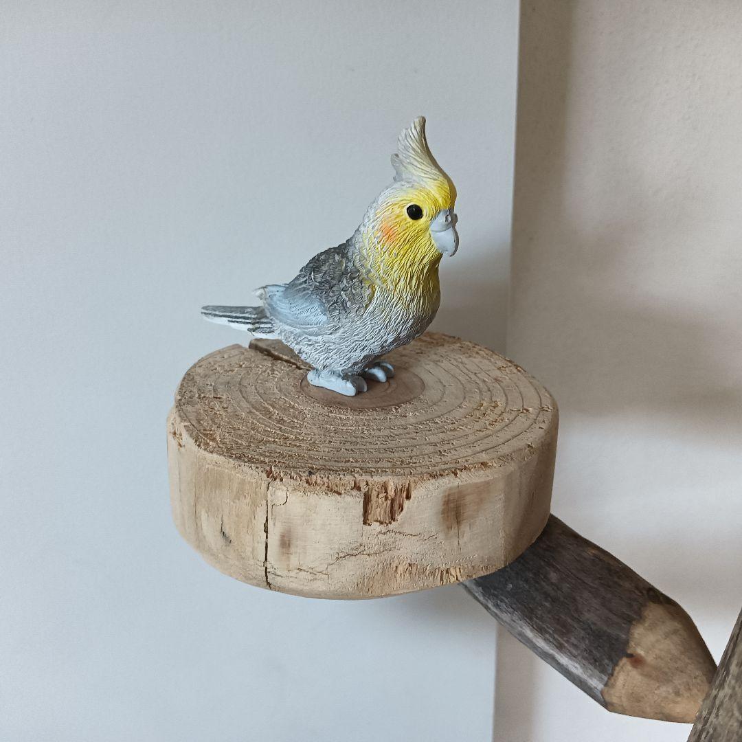 バードアスレチックジム大型 ① 天然木 自然木 流木 インコ おもちゃ