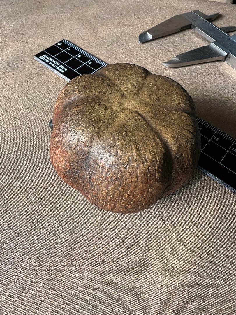 鼻烟壶 鼻煙壺 紫砂