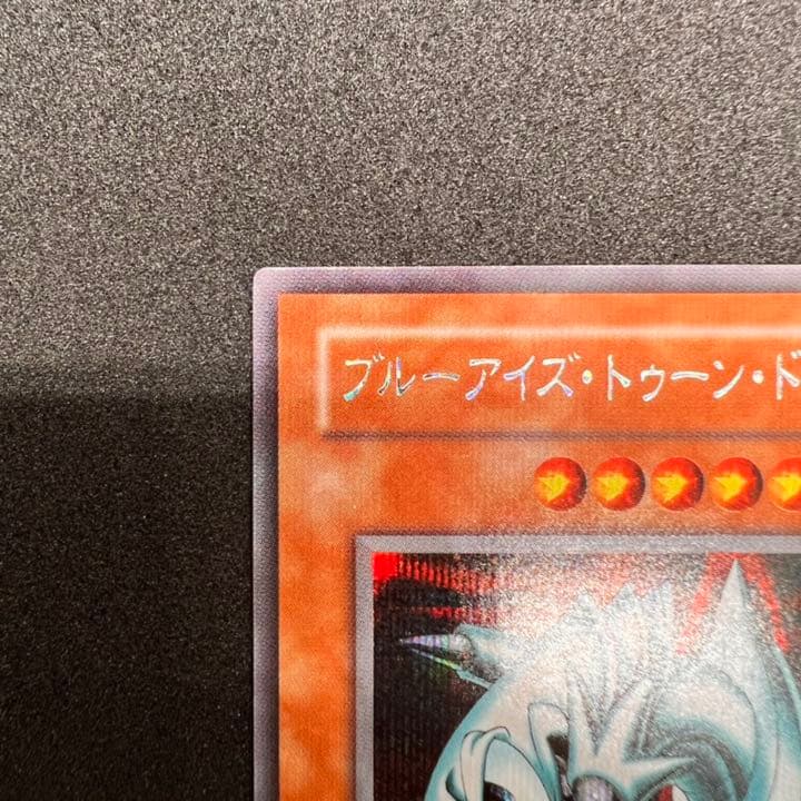 遊戯王 ブルーアイズ・トゥーン・ドラゴン シークレット