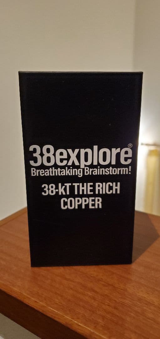 【新品未使用・限定】ネルデザインワークス 38灯リッチ molds 銅