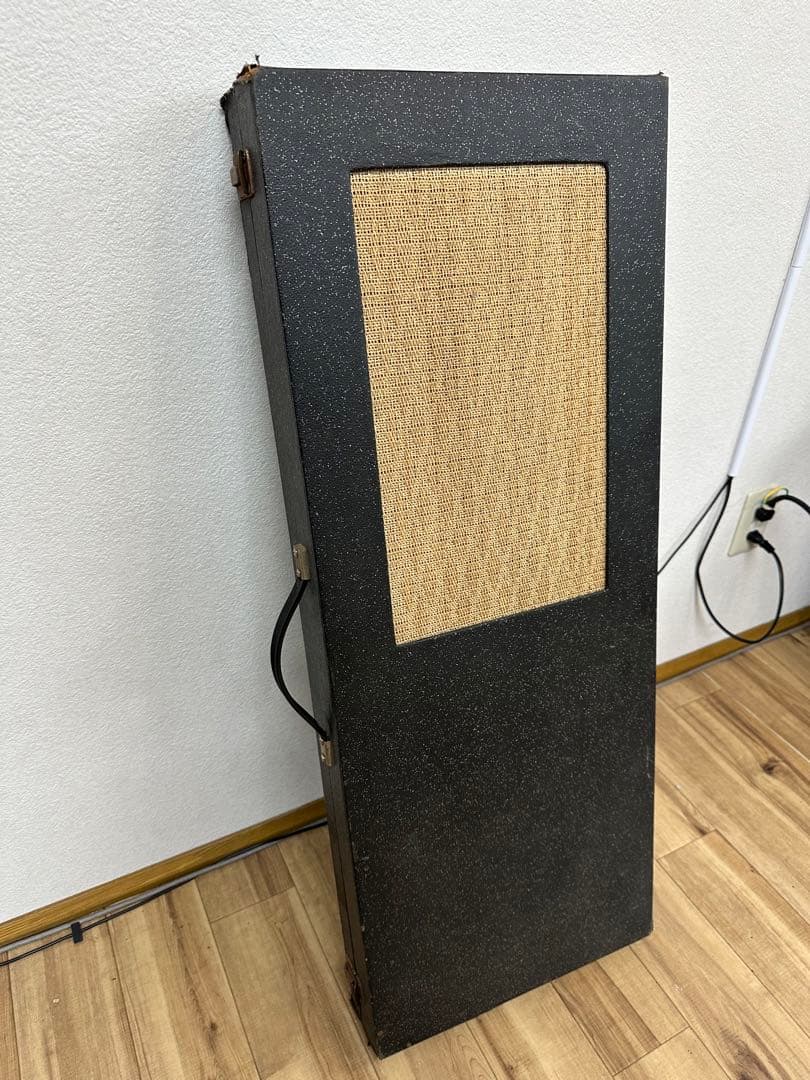 1965年製silver toneシルバートーン1448Amp in Case