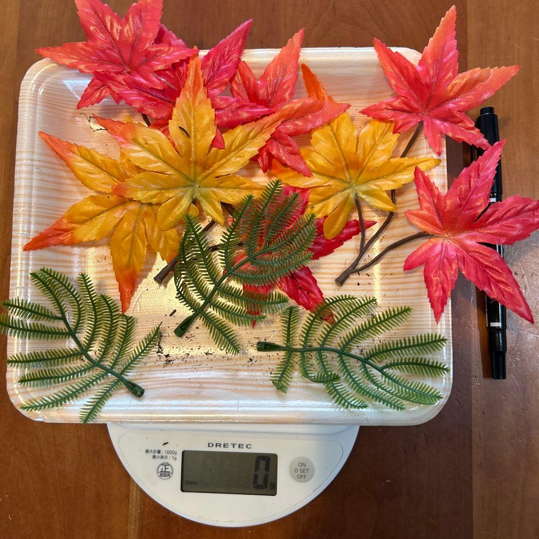 北海道産！松茸！！11日朝採れたて