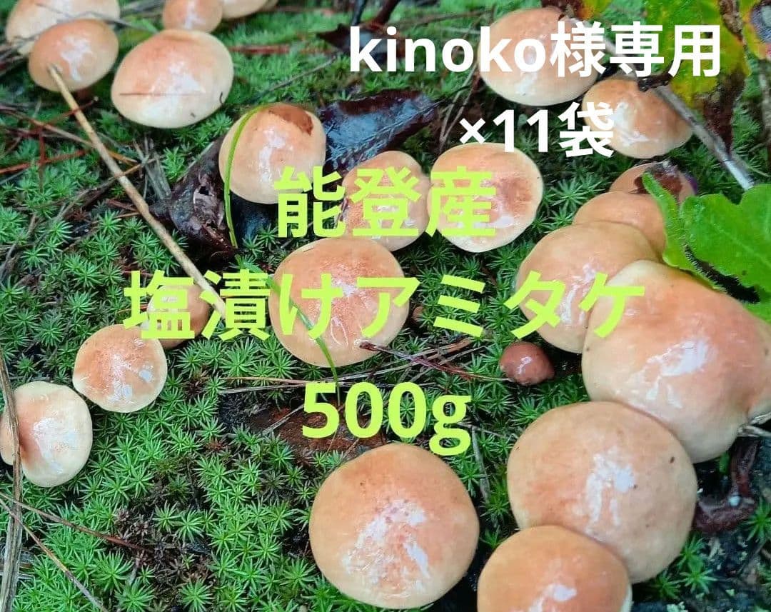 【kinoko】塩漬けアミタケ500g×11袋＊能登産