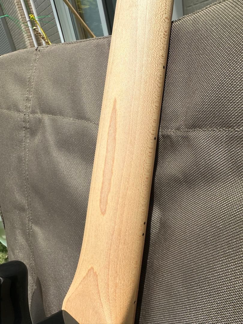 fujigen フジゲン　ストラトキャスター JST6M BK