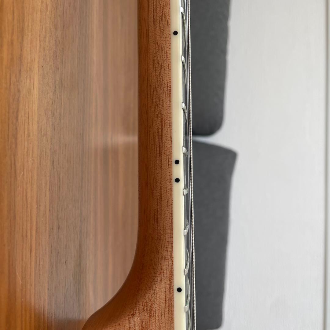 PRS SE Zach Myers 良木目　美品