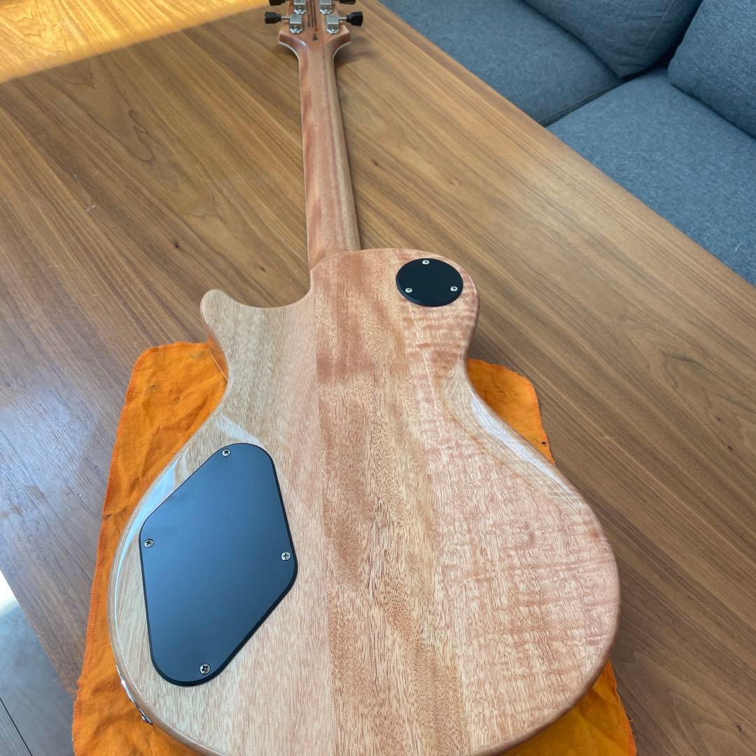 PRS SE Zach Myers 良木目　美品