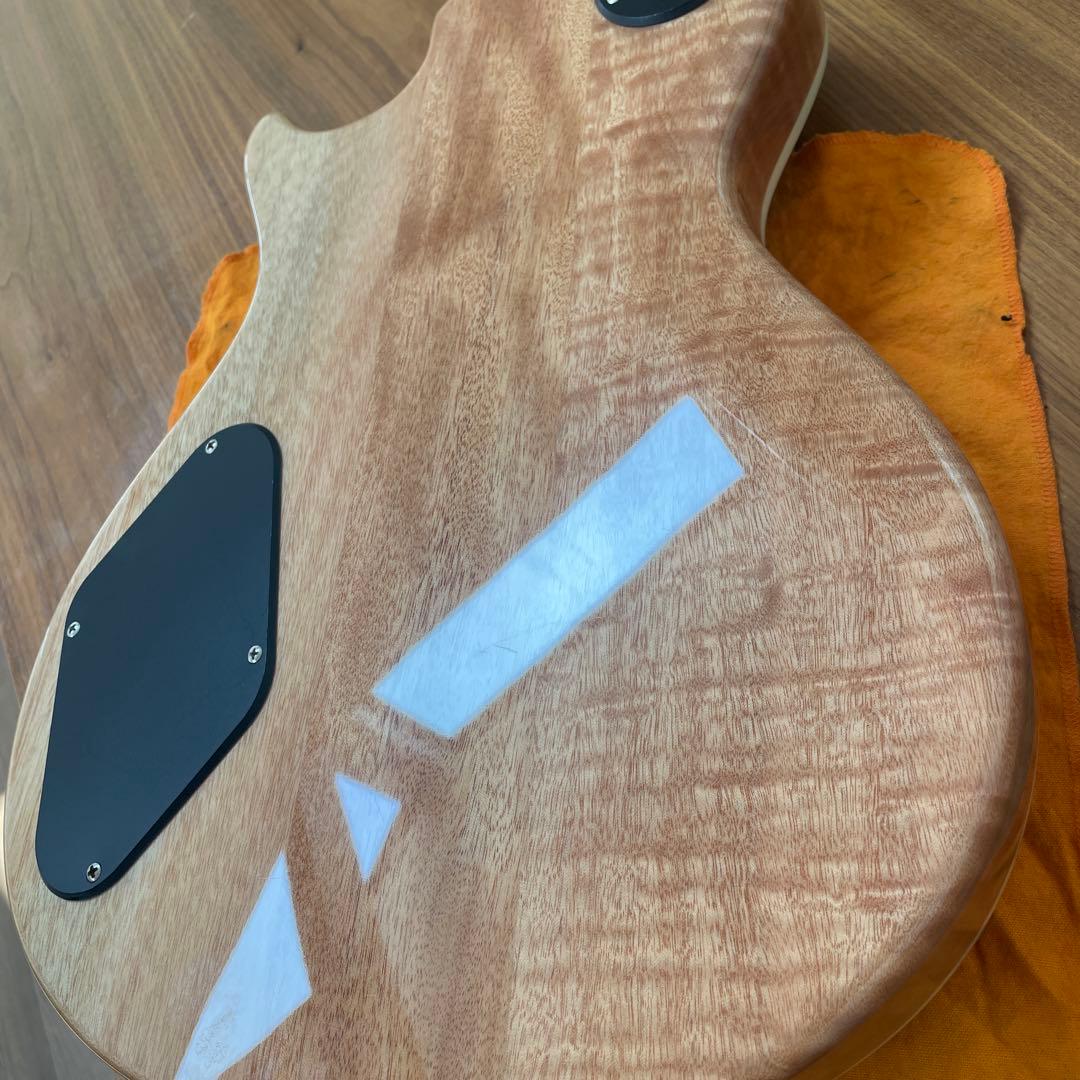 PRS SE Zach Myers 良木目　美品