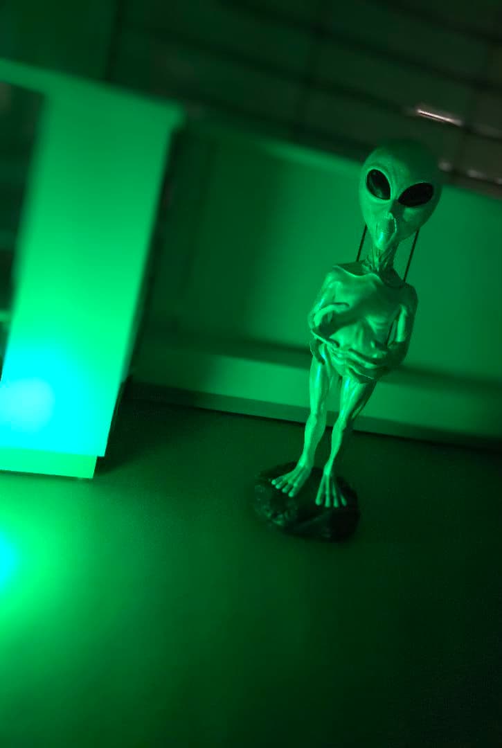 その他 Grey type Alien figure modeled object