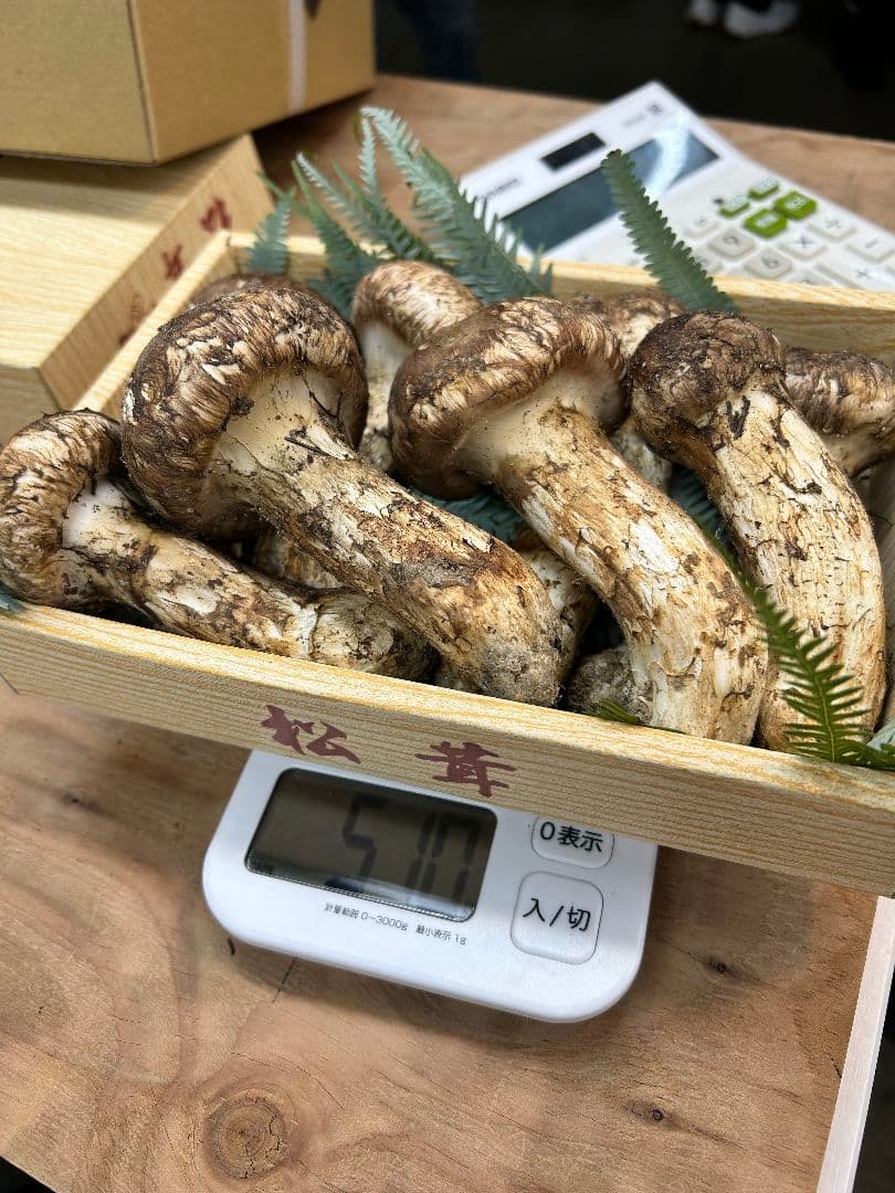 岩手産 特秀品【天然 大つぼみ 松茸 約400g前後】3~5本 御供 贈答