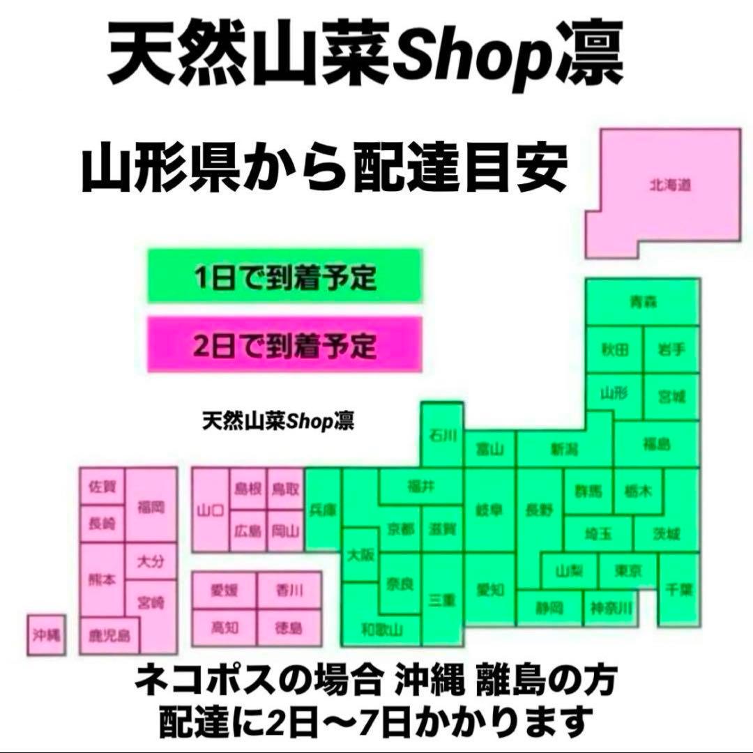 天然きのこ 松茸 国産 良品‼️ マツタケ まつたけ 大自然の凛さん採取その121