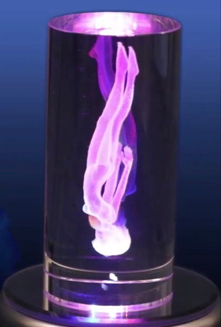 EVA STOREオリジナル メモリアルクリスタル/綾波レイ