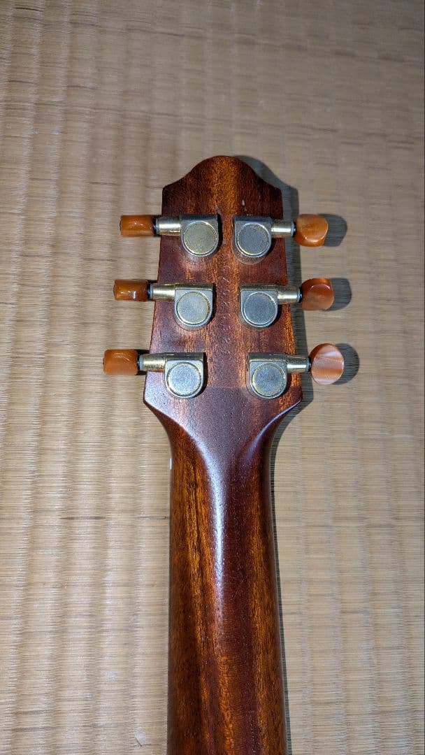 ギター YAMAHA SLG-100S