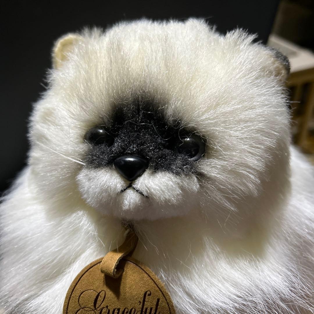 doorzo様❗️猫　ヒマラヤン　三英❣️