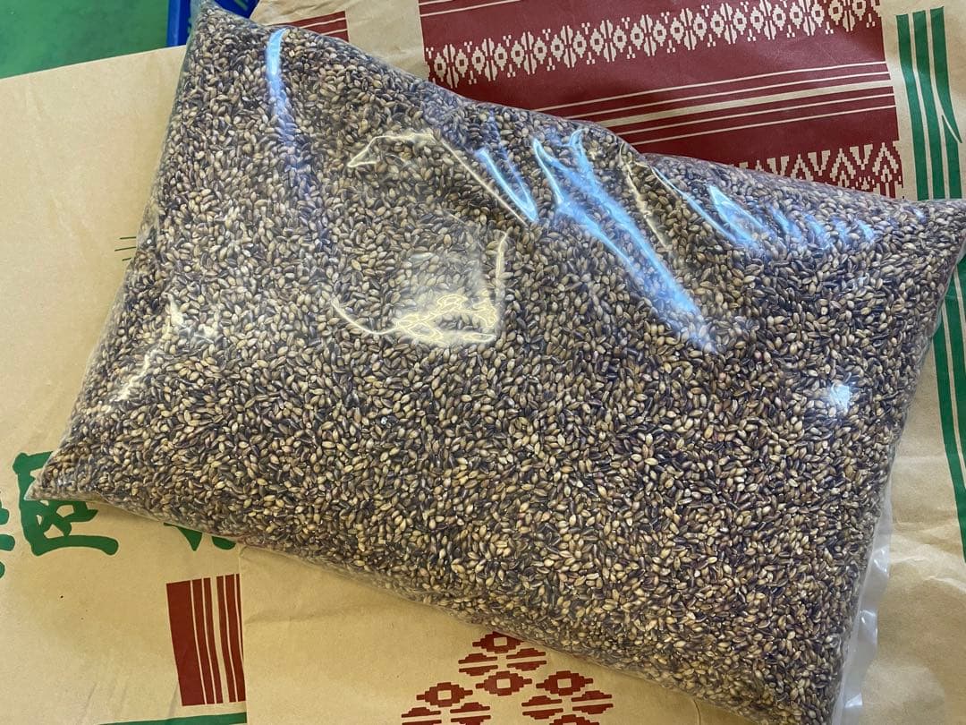 自家栽培　もち麦ダイシモチ15kg