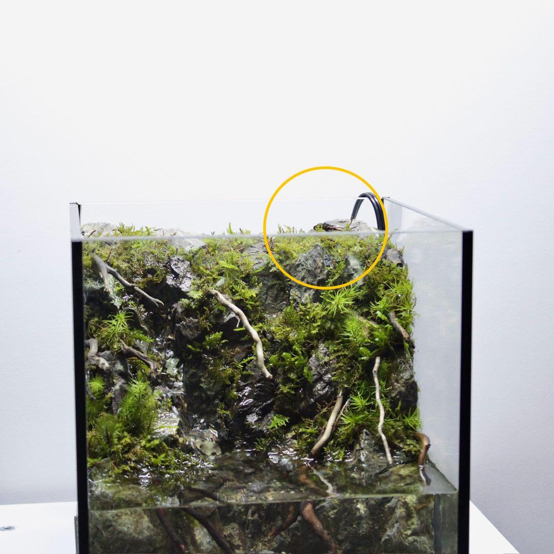 ざん　アクアテラリウム　レイアウト作品　195