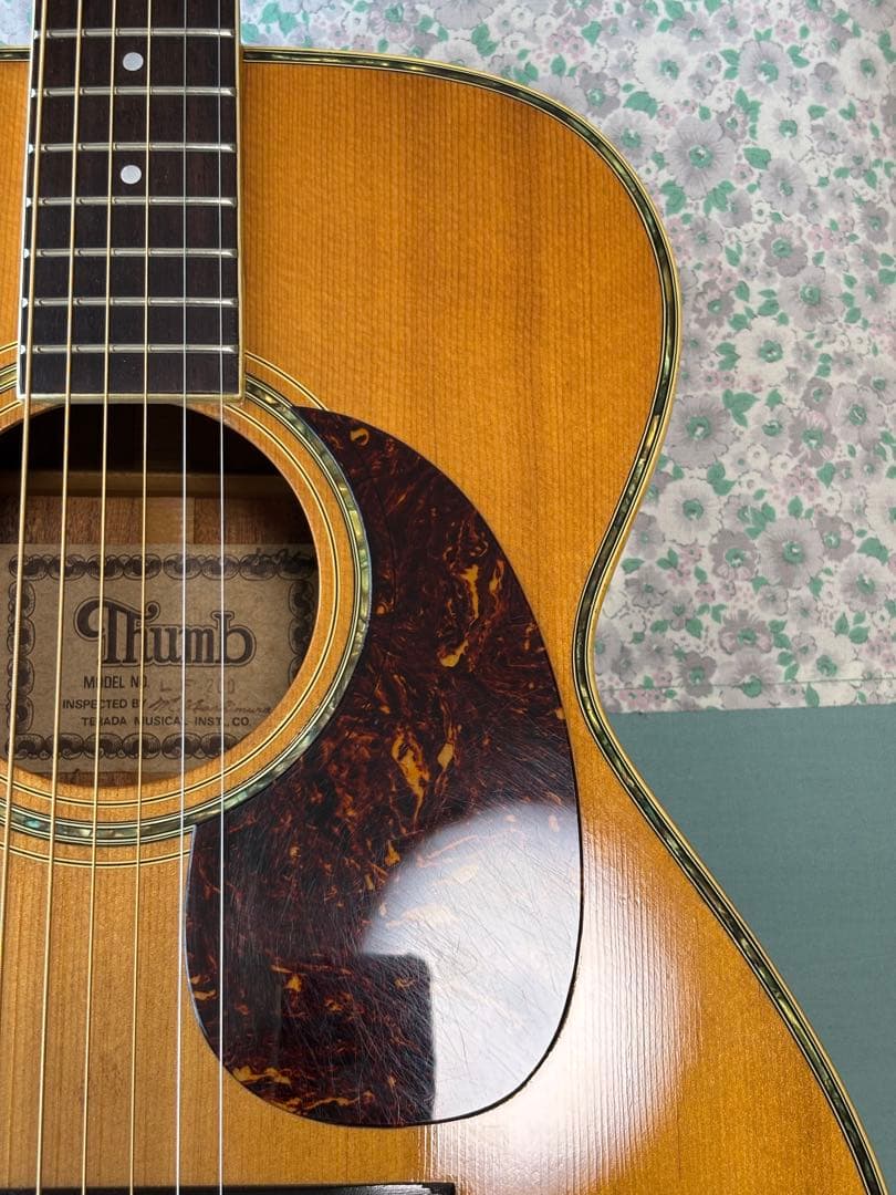 初心者、女性の方、学生さんに最適！！寺田楽器Thumb サム　調整済❗️