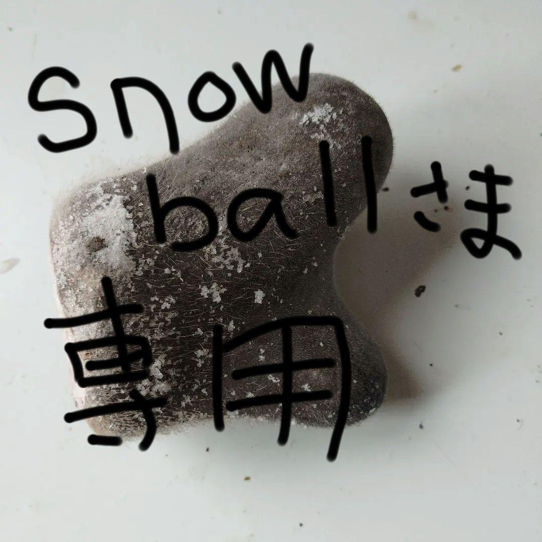 鹿の袋角（鹿茸）犬のおもちゃ