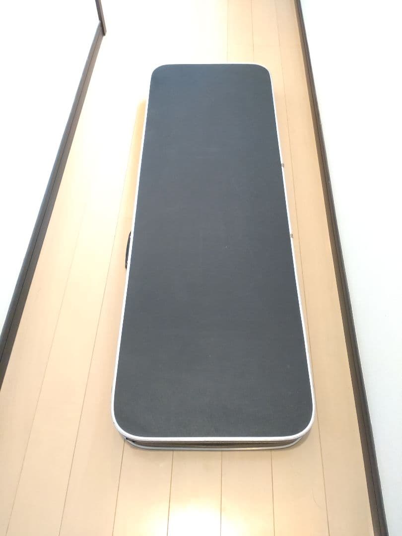 FERNANDES ハードケースとソフトケース付き