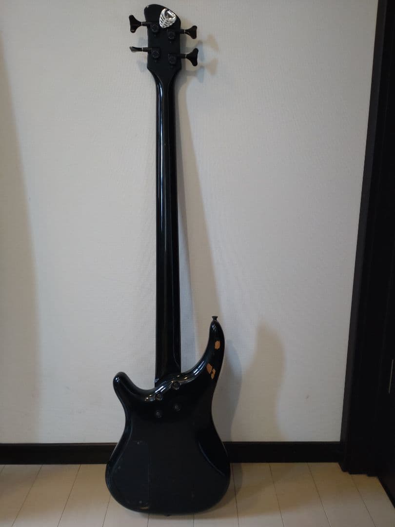 FERNANDES ハードケースとソフトケース付き