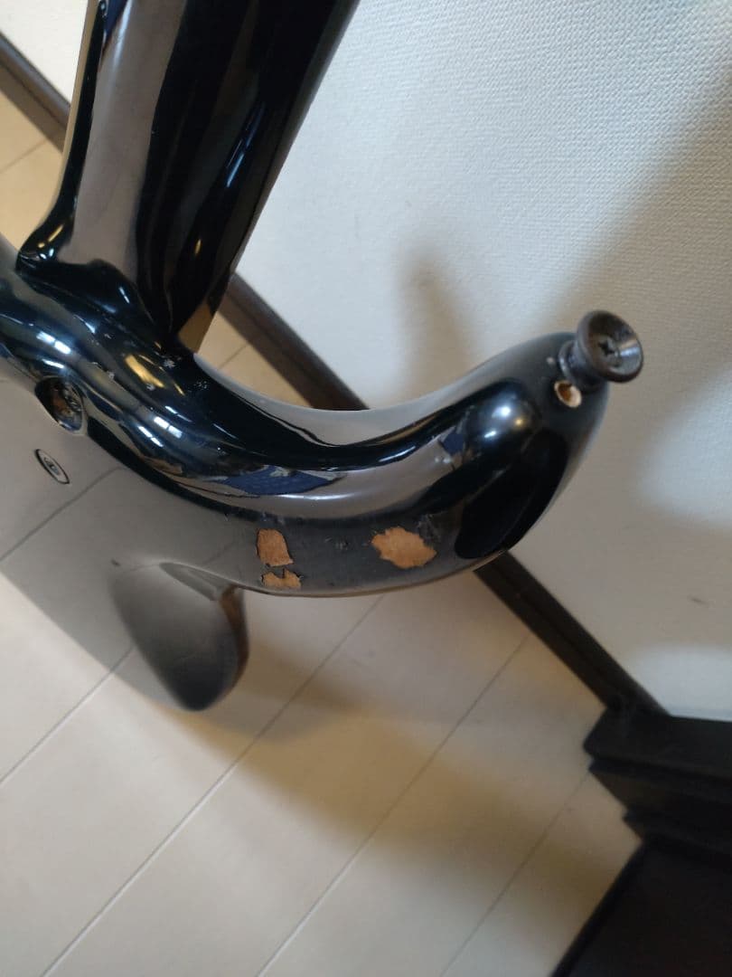 FERNANDES ハードケースとソフトケース付き