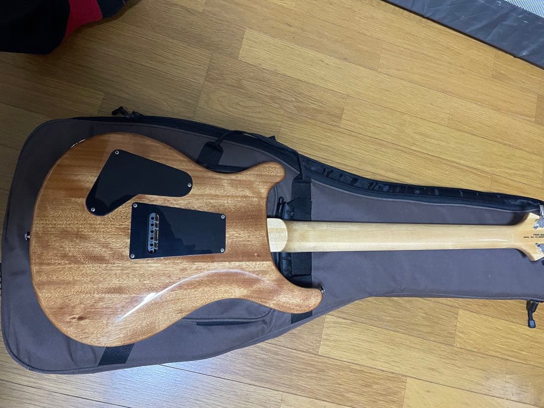 調整済み！PRS SE CUSTOM24 Trampas Green ギブソン