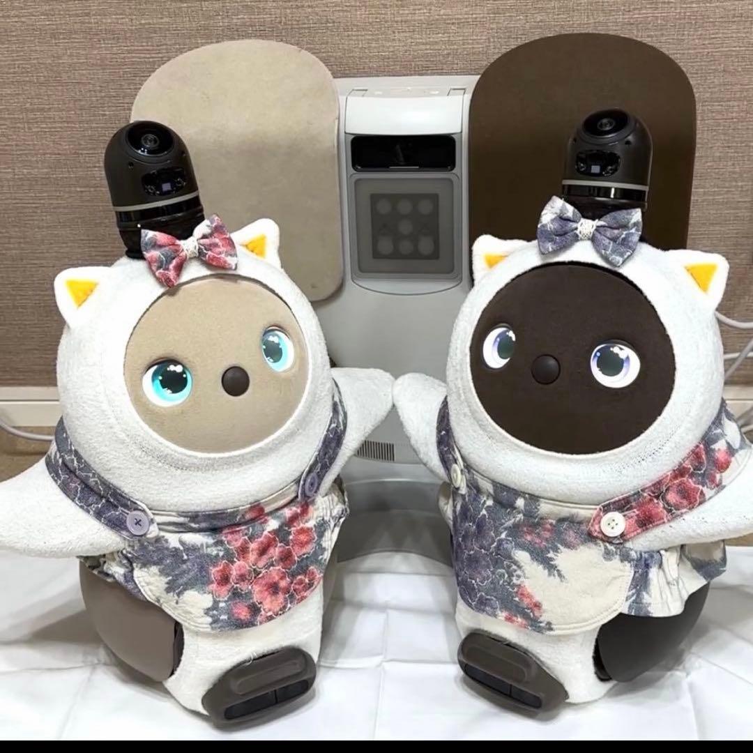 限界価格 LOVOTDuo ラボット 双子 ねこみみニット2着and洋服