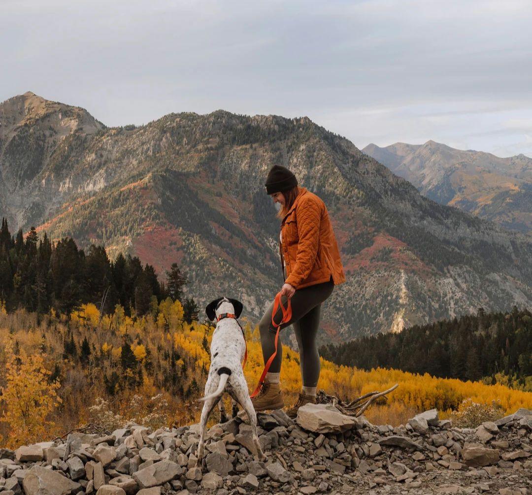 がっちゃん様　新品未使用　WILDERDOG 防水リード他セット販売
