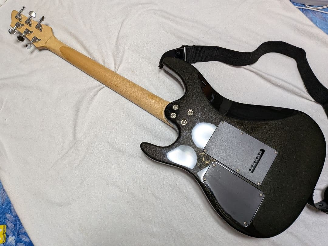 Aria Pro Ⅱ　Original Custom Body