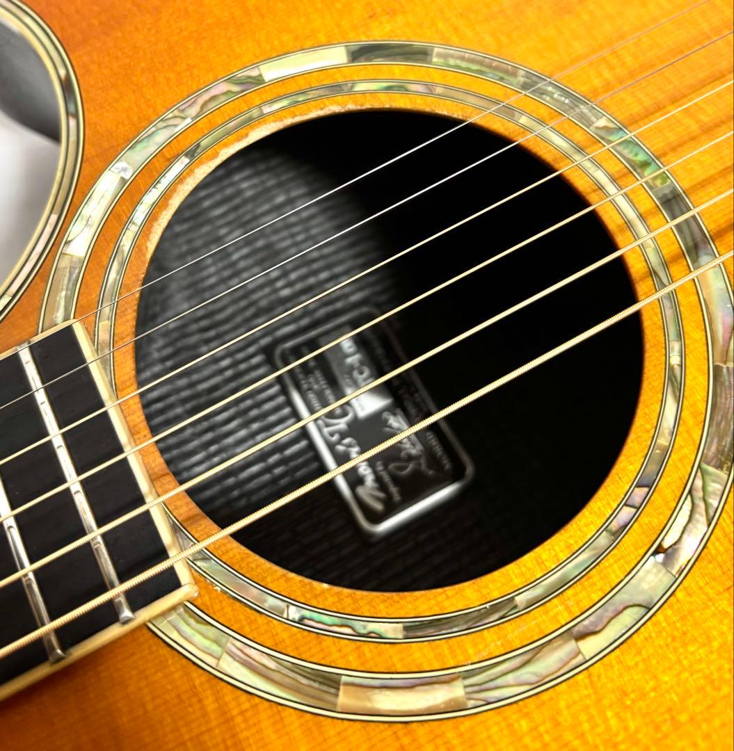 【新品弦張替済】Morris エレアコ TC-1 CUS