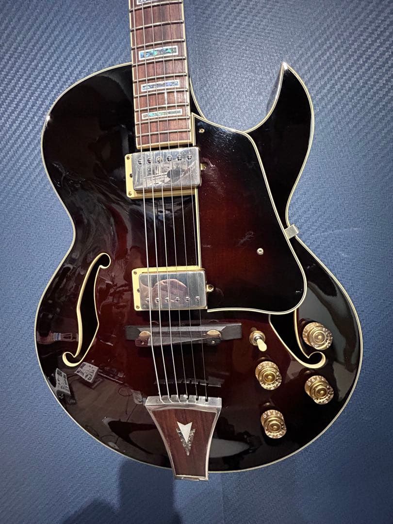 Mei 　Ibanez AK95-DVS-12-02フルアコ