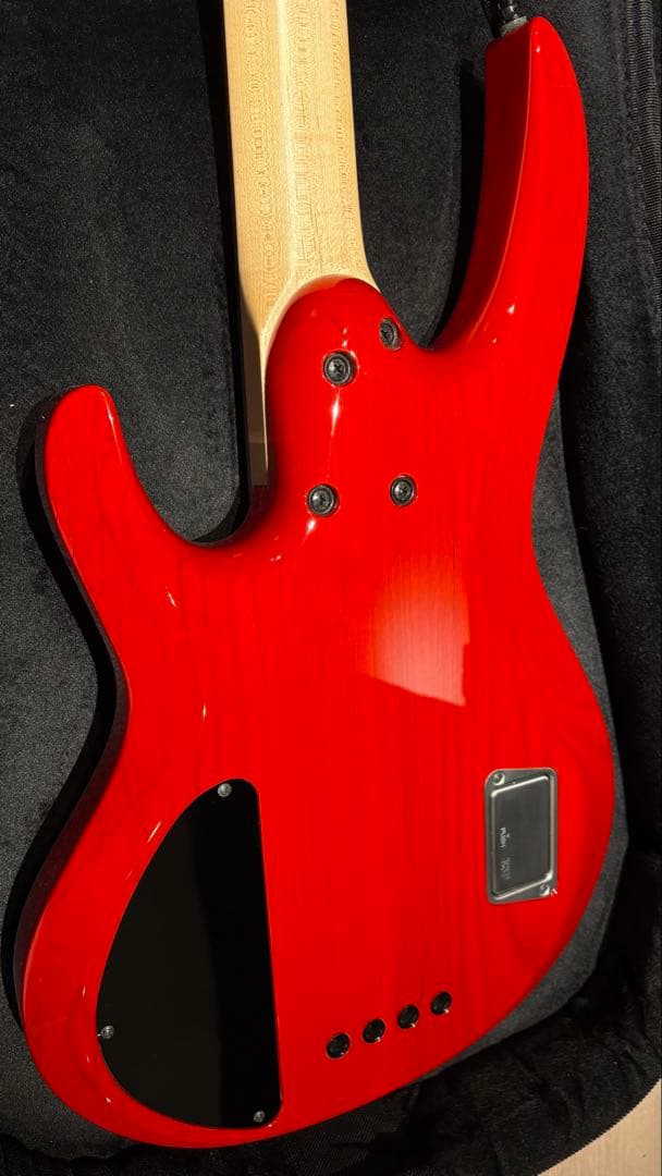 ESP BTL LISAカスタマイズ