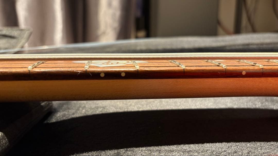 ESP BTL LISAカスタマイズ