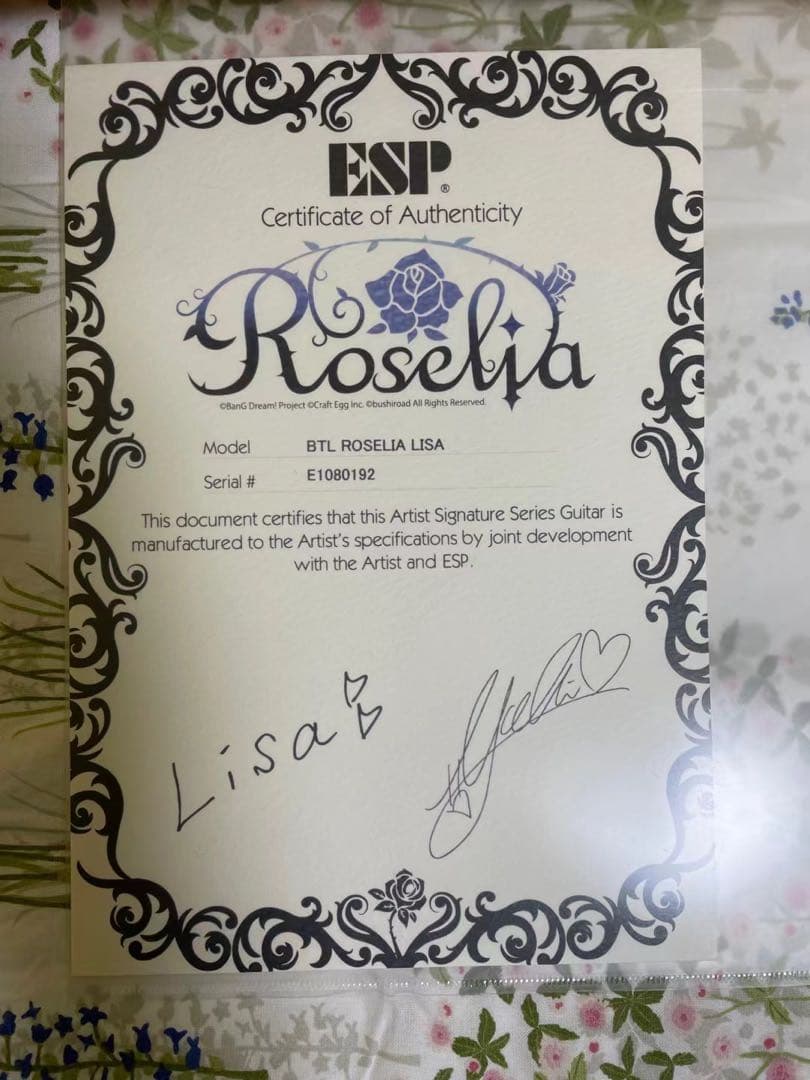 ESP BTL LISAカスタマイズ