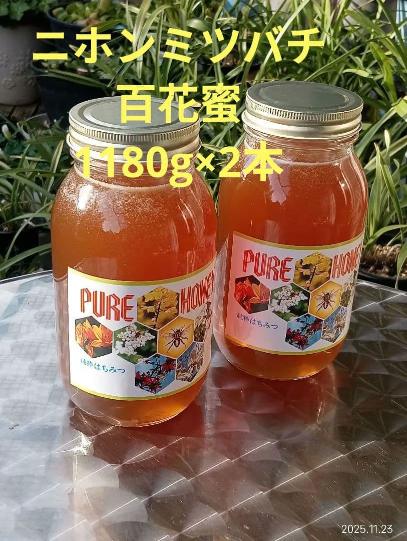 ニホンミツバチの百花蜜　国産天然ハチミツ　1180グラム　2本